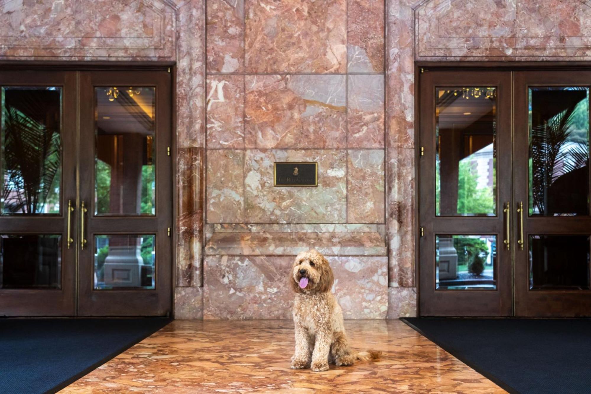The Ritz-Carlton, St. Louis Hotel Clayton Kültér fotó